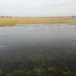 Σπίτι διακοπών Gutshaus Am Nationalpark Unteres Odertal *