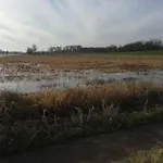 Σπίτι διακοπών Gutshaus Am Nationalpark Unteres Odertal *