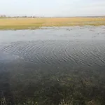 Gutshaus Am Nationalpark Unteres Odertal Σπίτι διακοπών *