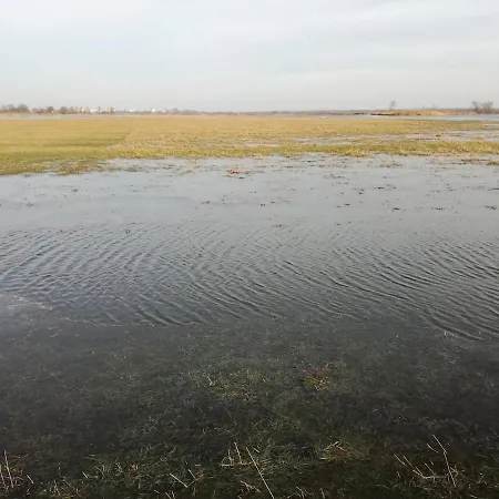 Vakantiehuis Gutshaus Am Nationalpark Unteres Odertal *