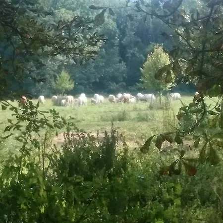 Gutshaus Am Nationalpark Unteres Odertal Vakantiehuis