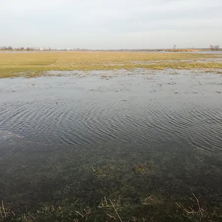 Gutshaus Am Nationalpark Unteres Odertal * Schwedt