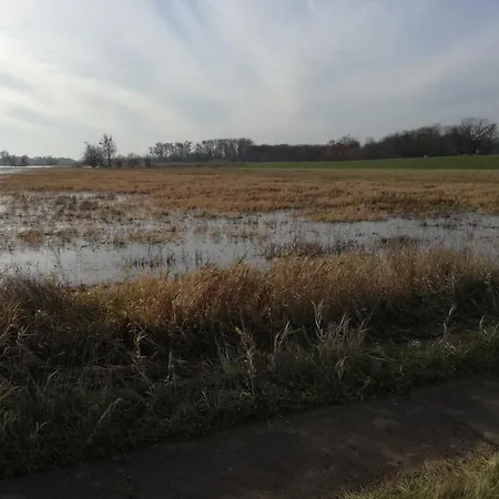 度假居 Gutshaus Am Nationalpark Unteres Odertal *