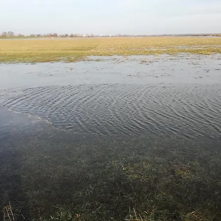 Gutshaus Am Nationalpark Unteres Odertal Vakantiehuis *