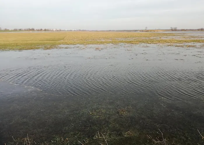 Tatil Evi Gutshaus Am Nationalpark Unteres Odertal *