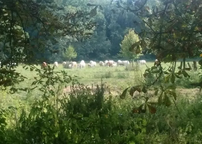 Gutshaus Am Nationalpark Unteres Odertal Tatil Evi