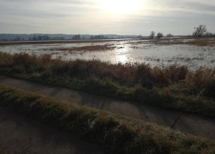 Tatil Evi Gutshaus Am Nationalpark Unteres Odertal *