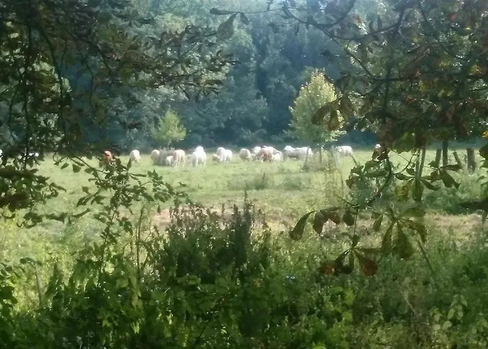 Nyaraló Gutshaus Am Nationalpark Unteres Odertal *