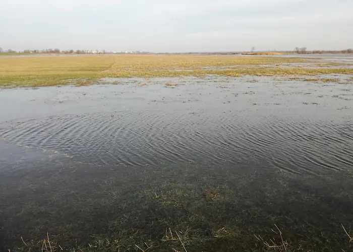 Gutshaus Am Nationalpark Unteres Odertal * Schwedt