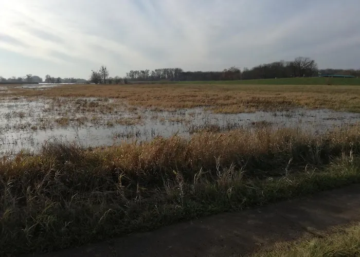 Nyaraló Gutshaus Am Nationalpark Unteres Odertal *