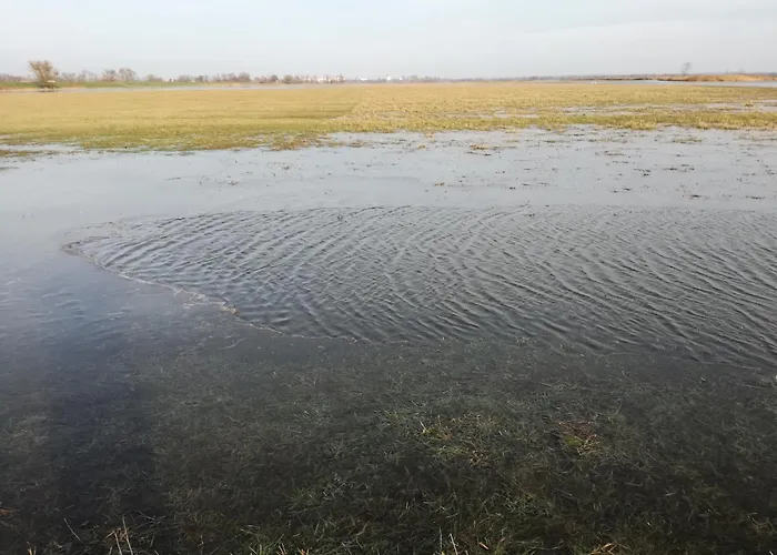 Gutshaus Am Nationalpark Unteres Odertal Nyaraló *